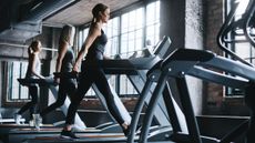 Three women walking on treadmills in a gym