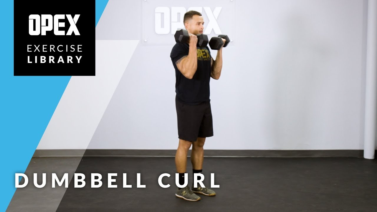 Dumbbell Curl - OPEX Exercise Library - YouTube