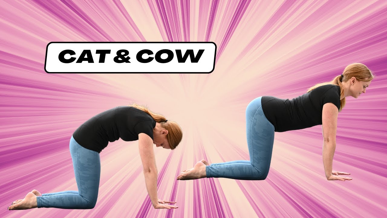 How to do a Pilates Cat Cow - YouTube