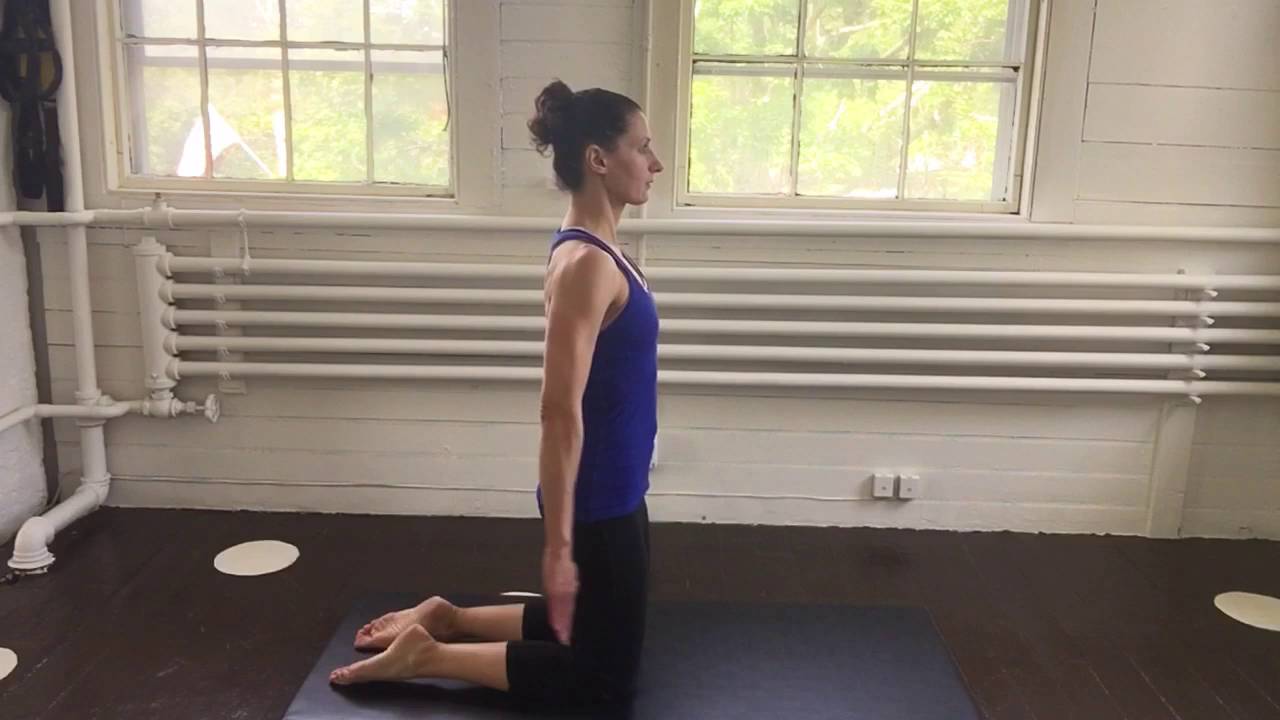 PilatesFit to Go - kneeling arm pulses forward and back - YouTube