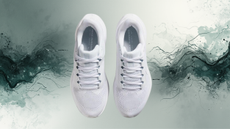 Nike Pegasus 41